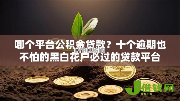 哪个平台公积金贷款？十个逾期也不怕的黑白花户必过的贷款平台
