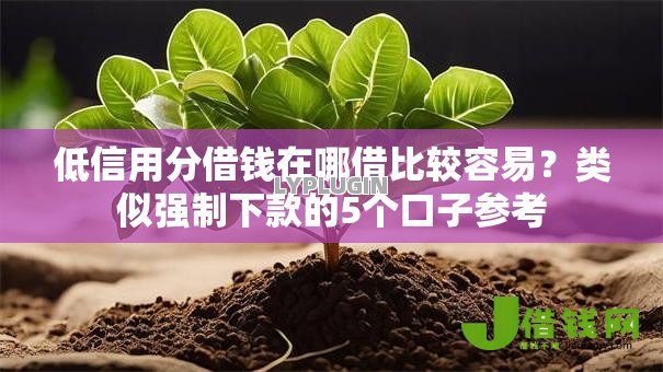 低信用分借钱在哪借比较容易？类似强制下款的5个口子参考