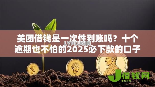 美团借钱是一次性到账吗？十个逾期也不怕的2025必下款的口子