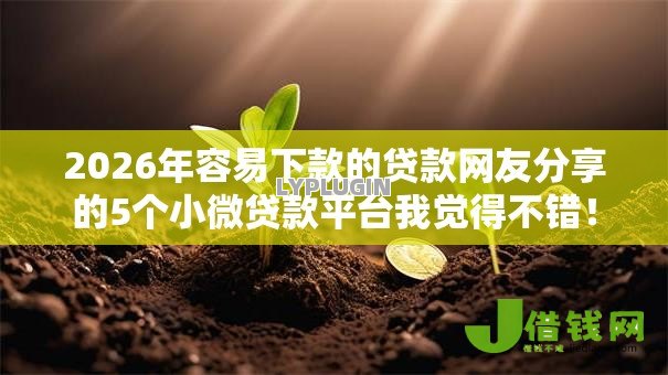 2026年容易下款的贷款网友分享的5个小微贷款平台我觉得不错！