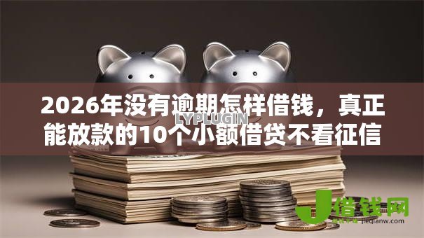 2026年没有逾期怎样借钱，真正能放款的10个小额借贷不看征信的平台推荐