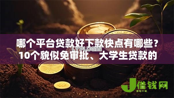 哪个平台贷款好下款快点有哪些?10个貌似免审批、大学生贷款的平台合集 哪个平台贷款好下款快点有哪些?10个貌似免审批、大学生贷款的平台合集