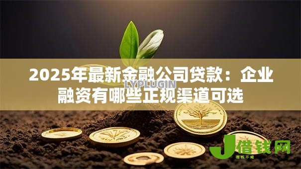 2025年最新金融公司贷款：企业融资有哪些正规渠道可选