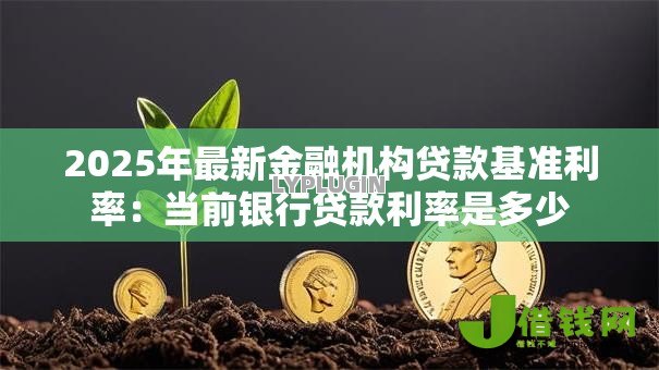 2025年最新金融机构贷款基准利率：当前银行贷款利率是多少