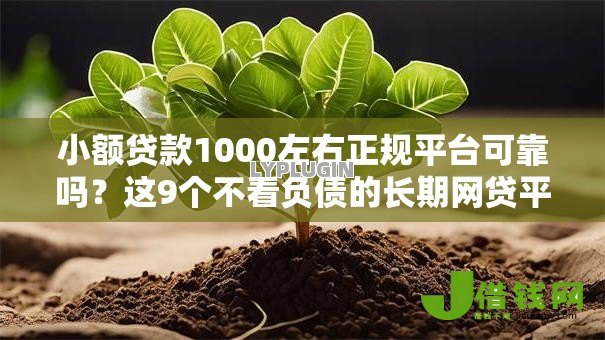 小额贷款1000左右正规平台可靠吗?这9个不看负债的长期网贷平台值得一试 小额贷款1000左右正规平台可靠吗?这9个不看负债的长期网贷平台值得一试