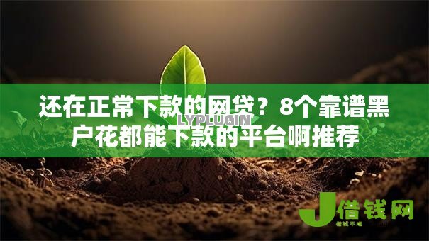 还在正常下款的网贷？8个靠谱黑户花都能下款的平台啊推荐