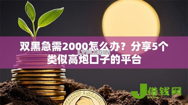 双黑急需2000怎么办？分享5个类似高炮口子的平台