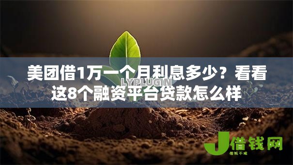 美团借1万一个月利息多少?看看这8个融资平台贷款怎么样 美团借1万一个月利息多少?看看这8个融资平台贷款怎么样