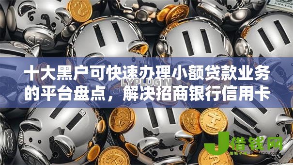 十大黑户可快速办理小额贷款业务的平台盘点,解决招商银行信用卡多久被拒的问题 十大黑户可快速办理小额贷款业务的平台盘点,解决招商银行信用卡多久被拒的问题