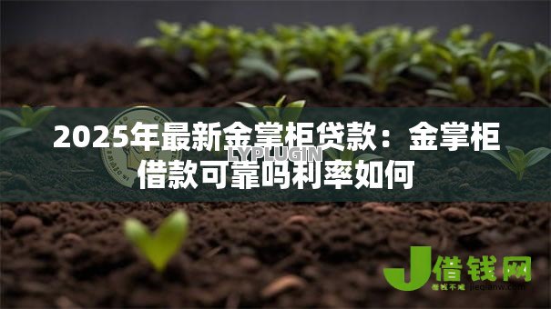 2025年最新金掌柜贷款：金掌柜借款可靠吗利率如何