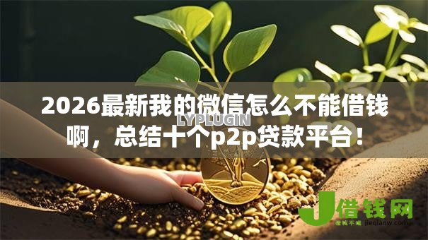 2026最新我的微信怎么不能借钱啊,总结十个p2p贷款平台! 2026最新我的微信怎么不能借钱啊,总结十个p2p贷款平台!