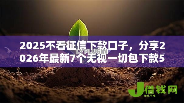 2025不看征信下款口子,分享2026年最新7个无视一切包下款5000秒下款的平台 2025不看征信下款口子,分享2026年最新7个无视一切包下款5000秒下款的平台