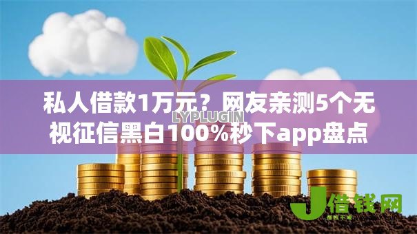 私人借款1万元？网友亲测5个无视征信黑白100%秒下app盘点