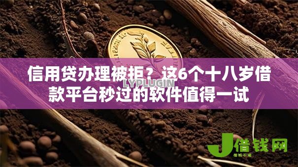 信用贷办理被拒?这6个十八岁借款平台秒过的软件值得一试 信用贷办理被拒?这6个十八岁借款平台秒过的软件值得一试