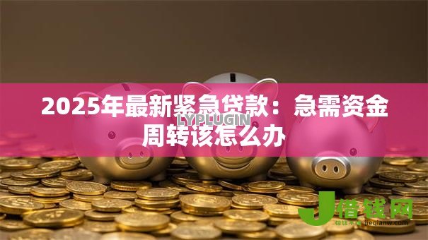2025年最新紧急贷款：急需资金周转该怎么办