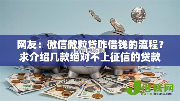 网友：微信微粒贷咋借钱的流程？求介绍几款绝对不上征信的贷款平台