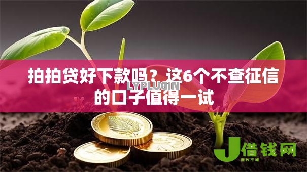 拍拍贷好下款吗？这6个不查征信的口子值得一试