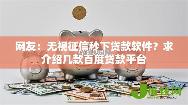 网友：无视征信秒下贷款软件？求介绍几款百度贷款平台