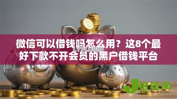 微信可以借钱吗怎么用?这8个最好下款不开会员的黑户借钱平台可以试试 微信可以借钱吗怎么用?这8个最好下款不开会员的黑户借钱平台可以试试