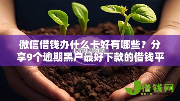 微信借钱办什么卡好有哪些？分享9个逾期黑户最好下款的借钱平台