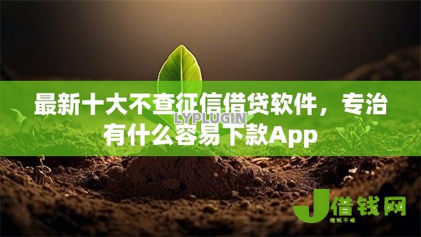 最新十大不查征信借贷软件，专治有什么容易下款App