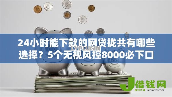 24小时能下款的网贷拢共有哪些选择？5个无视风控8000必下口子详解