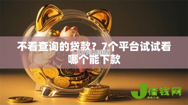 不看查询的贷款？7个平台试试看哪个能下款