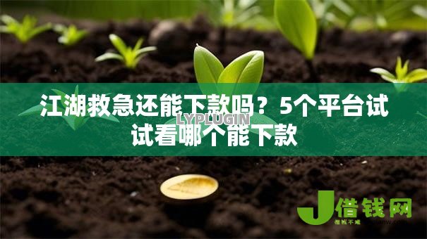 江湖救急还能下款吗？5个平台试试看哪个能下款