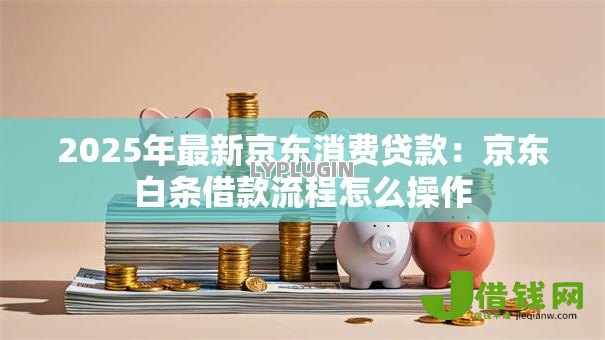 2025年最新京东消费贷款：京东白条借款流程怎么操作