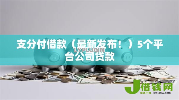 支分付借款(最新发布!)5个平台公司贷款 支分付借款(最新发布!)5个平台公司贷款