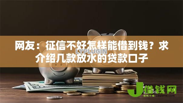 网友：征信不好怎样能借到钱？求介绍几款放水的贷款口子
