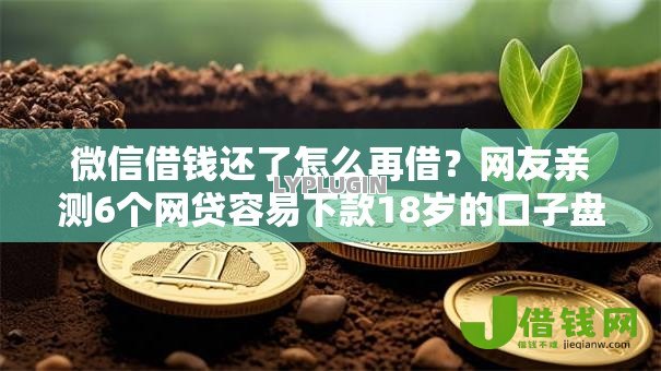 微信借钱还了怎么再借？网友亲测6个网贷容易下款18岁的口子盘点