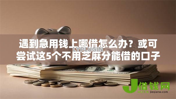 遇到急用钱上哪借怎么办？或可尝试这5个不用芝麻分能借的口子