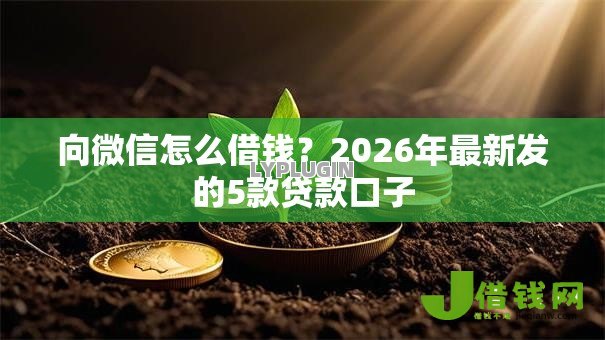 向微信怎么借钱?2026年最新发的5款贷款口子 向微信怎么借钱?2026年最新发的5款贷款口子
