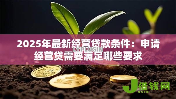 2025年最新经营贷款条件：申请经营贷需要满足哪些要求