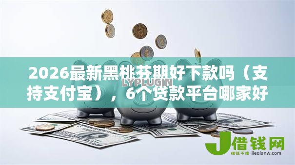 2026最新黑桃芬期好下款吗（支持支付宝），6个贷款平台哪家好无私分享