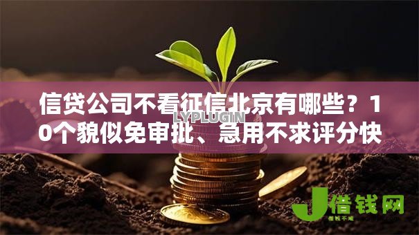 信贷公司不看征信北京有哪些?10个貌似免审批、急用不求评分快借无忧的口子合集 信贷公司不看征信北京有哪些?10个貌似免审批、急用不求评分快借无忧的口子合集