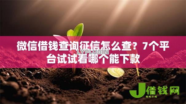 微信借钱查询征信怎么查？7个平台试试看哪个能下款