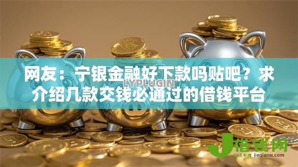 网友：宁银金融好下款吗贴吧？求介绍几款交钱必通过的借钱平台