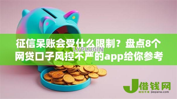 征信呆账会受什么限制？盘点8个网贷口子风控不严的app给你参考