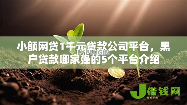 小额网贷1千元贷款公司平台，黑户贷款哪家强的5个平台介绍