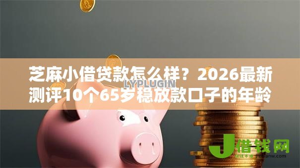 芝麻小借贷款怎么样？2026最新测评10个65岁稳放款口子的年龄要求