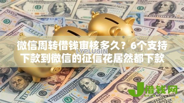 微信周转借钱审核多久？6个支持下款到微信的征信花居然都下款的软件