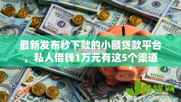 最新发布秒下款的小额贷款平台，私人借钱1万元有这5个渠道