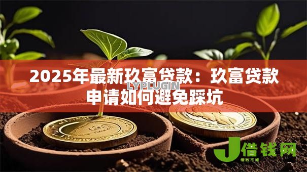 2025年最新玖富贷款：玖富贷款申请如何避免踩坑