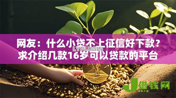 网友:什么小贷不上征信好下款?求介绍几款16岁可以贷款的平台 网友:什么小贷不上征信好下款?求介绍几款16岁可以贷款的平台