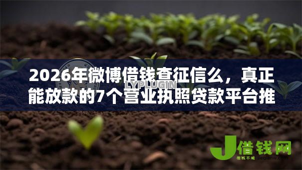 2026年微博借钱查征信么，真正能放款的7个营业执照贷款平台推荐