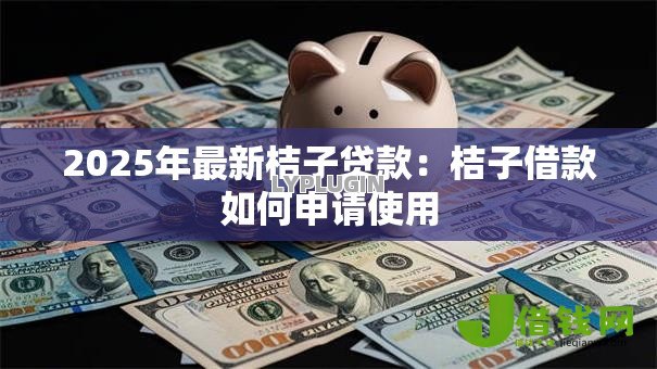 2025年最新桔子贷款：桔子借款如何申请使用