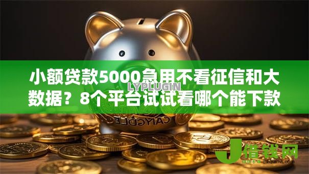 小额贷款5000急用不看征信和大数据？8个平台试试看哪个能下款