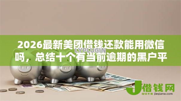 2026最新美团借钱还款能用微信吗，总结十个有当前逾期的黑户平台能借到钱！
